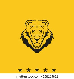 Lion head icon. Logo template illustration. Animal image.