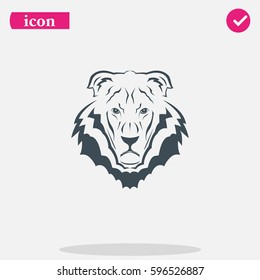 Lion head icon. Logo template illustration. Animal image.