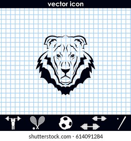 Lion head icon. Logo template illustration. Animal image.
