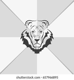 Lion head icon. Logo template illustration. Animal image.