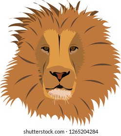 lion head illustration