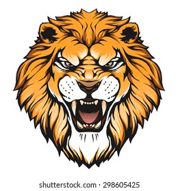 Lion head illustration