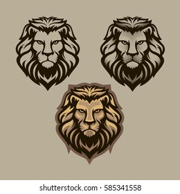 Lion head illustration