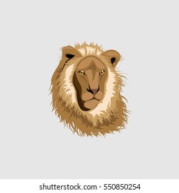 Lion head illustration ,vector