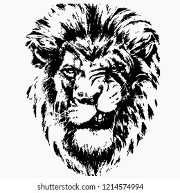 Lion head isolated white background vector