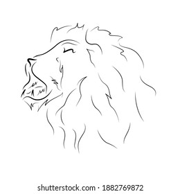 lion head line art vector illustration. contour drawing, logo design. stylized image of the king of beasts for advertising and print.