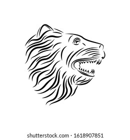 lion head line design vector