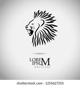 Lion head logo. Vector