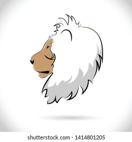 Lion head logo vector template  for design.