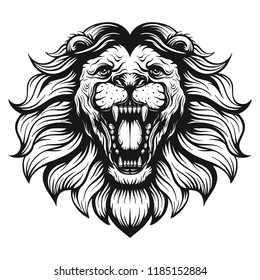 lion head on white background