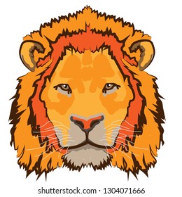 
lion head on white background