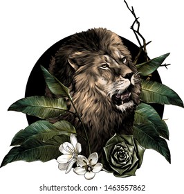 lion head with open mouth surrounded by tropical plants leaves and flowers composition, sketch vector graphic color illustration on white background