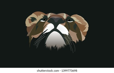 Lion Head With Original Colors 