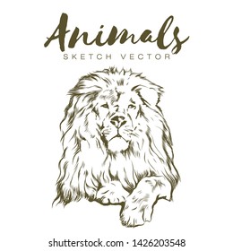 Lion head profile Sketch graphics. Animals vector