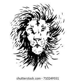Lion head sketch. Hand drawn vector lion portrait.