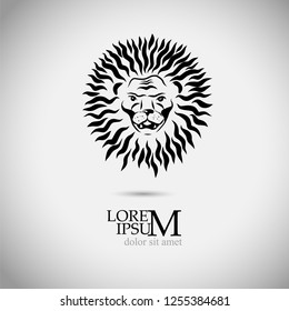 Lion head symbol logo. Vector