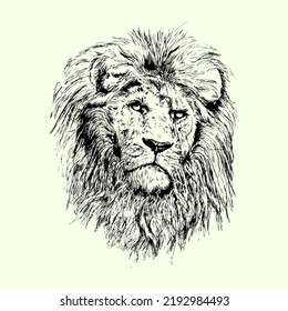 Lion head vector hand art