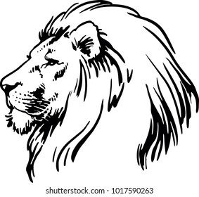 Royalty Free Lion Head Drawing Stock Images Photos Vectors