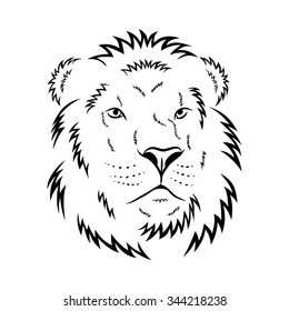 Lion head - vector illustration
