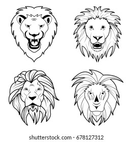 Lion head, vector illustration