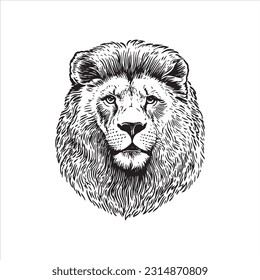 Lion head vector illustration, engrave isolated