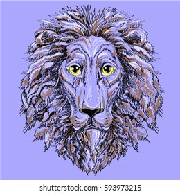  lion head ,  vector illustration on a blue background