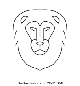 lion head vector line icon, sign, illustration on background, editable strokes
