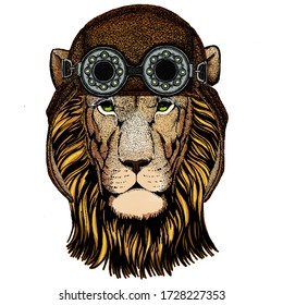 Lion head. Wild animal portrait. Face of african cat. Aviator flying leather helmet with googles.