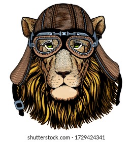 Lion head. Wild animal portrait. Face of african cat. Motorcycle helmet.