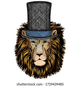 Lion head. Wild animal portrait. Face of african cat. Cylinder hat.