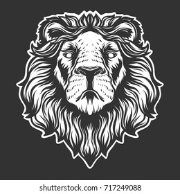 Lion head.Vector illustration.