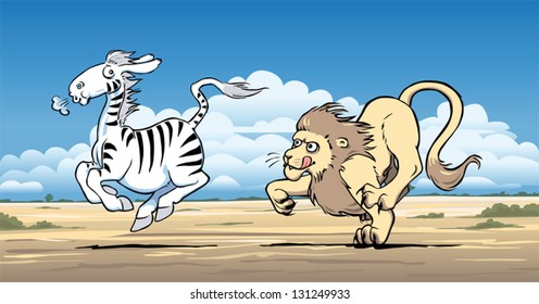 Lion hunting a zebra