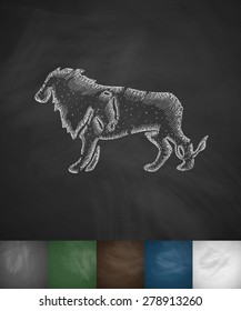 lion icon. Hand drawn vector illustration. Chalkboard Design