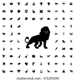 lion icon illustration isolated vector sign symbol