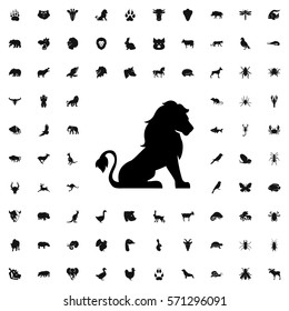 lion icon illustration isolated vector sign symbol