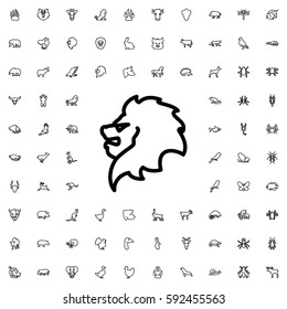 lion icon illustration isolated vector sign symbol. Animals icons vector set.