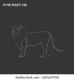 Lion icon line element. Vector illustration of lion icon line isolated on clean background for your web mobile app logo design.