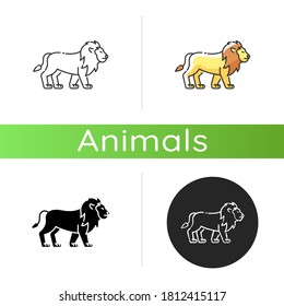 Lion icon. Linear black and RGB color styles. Exotic carnivore animal, dangerous predator. Tropical zoo inhabitant. African safari, savanna. Wild cat with mane isolated isolated vector illustrations