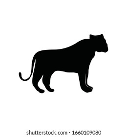 lion icon silhouette, isolated on white. wild animal illustration. tiger vector flat design.