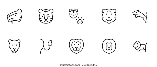lion icon. tiger icon. wild animal icon. flat vector and illustration, graphic, editable stroke. Suitable for website design, logo, app, template, and ui ux.