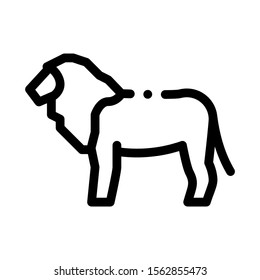 Lion Icon Vector. Outline Lion Sign. Isolated Contour Symbol Illustration