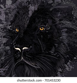 Lion illustration in dark colors for design