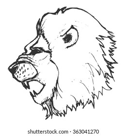 lion, illustration of wildlife, zoo, wildlife, animal of savannah, predator, Africa, safari