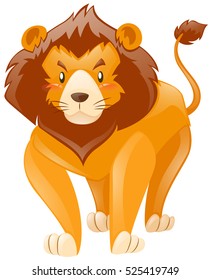 Lion isolated on white