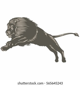 Lion jump, illustration, vector