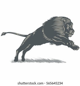 Lion jumping on grass, illustration, vector