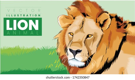 Lion king of the animals Vector Illustration