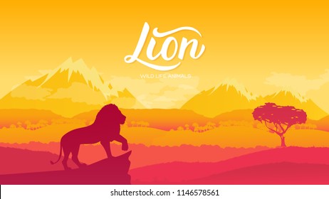 The Lion King of Animals is viewing his possessions illustration. Wild animal against the background of nature africa concept. Wild animal in the savannah.