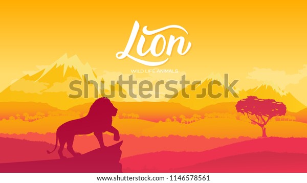 ライオン キング オブ アニマルズが自分の持ち物のイラストを見ている 自然のアフリカのコンセプトの背景に野生動物 サバンナ の野生動物 のベクター画像素材 ロイヤリティフリー