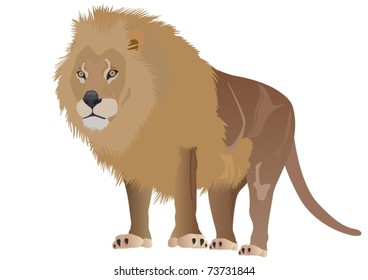 Lion king of beasts. Predator on a green background.